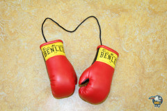 200822_Boxen-1011